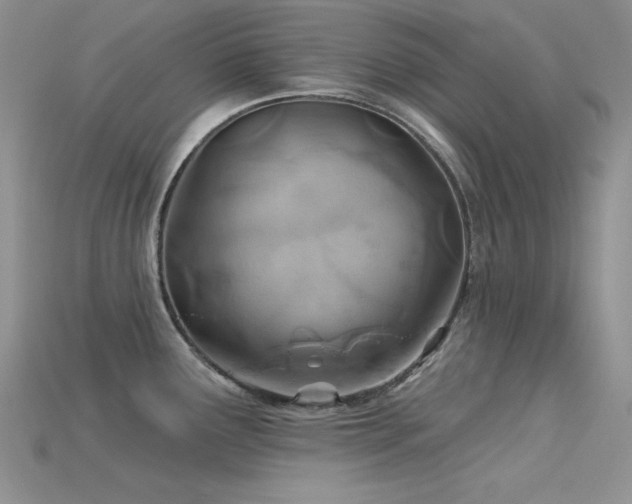 X0000115791291200911131300