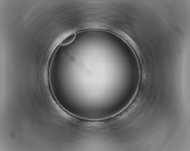 X0000115791293200911131300