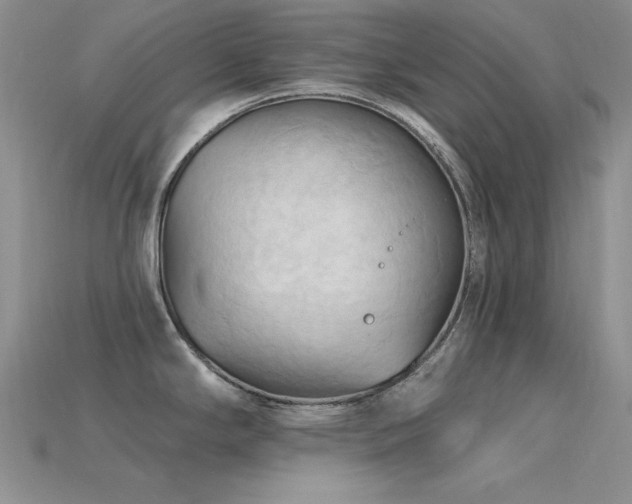 X0000115791294200911131300