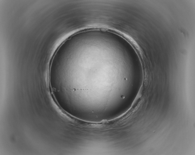 X0000115791295200911131300