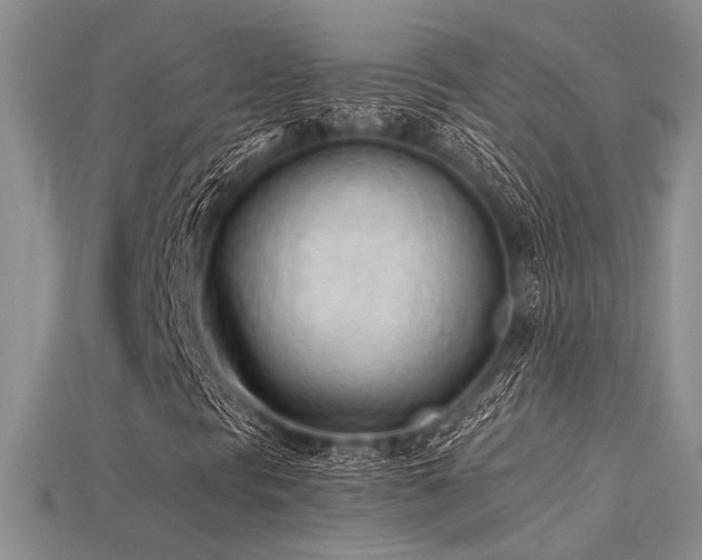 X0000115791297200911131300