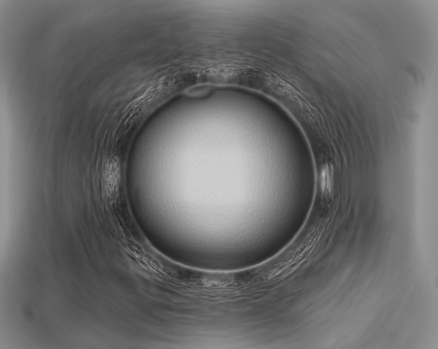 X0000115791299200911131300