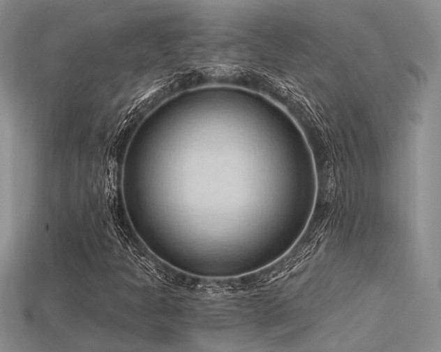 X0000115791301200911131300