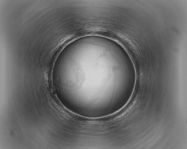 X0000115791305200911131300