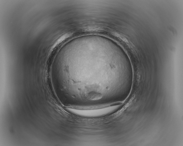 X0000115791306200911131300