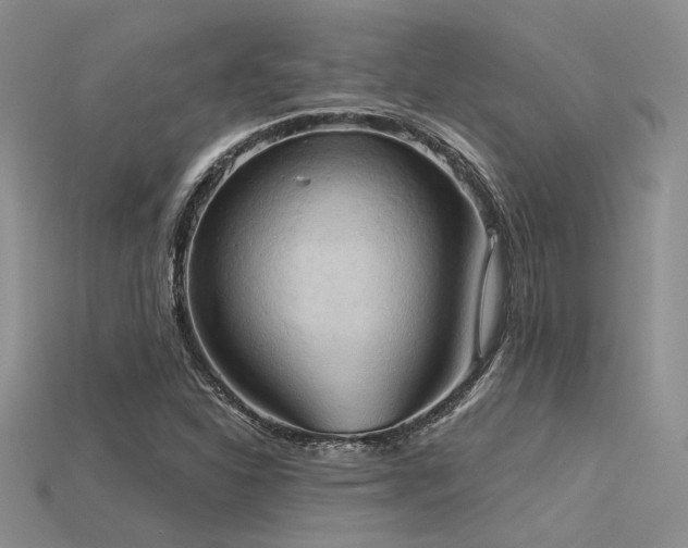 X0000115791310200911131300