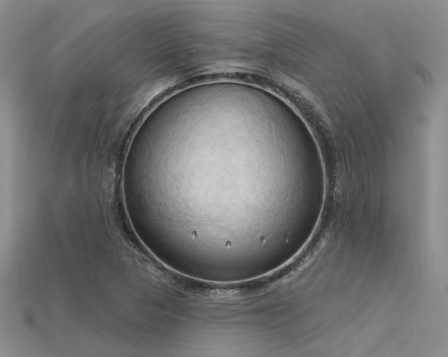 X0000115791313200911131300