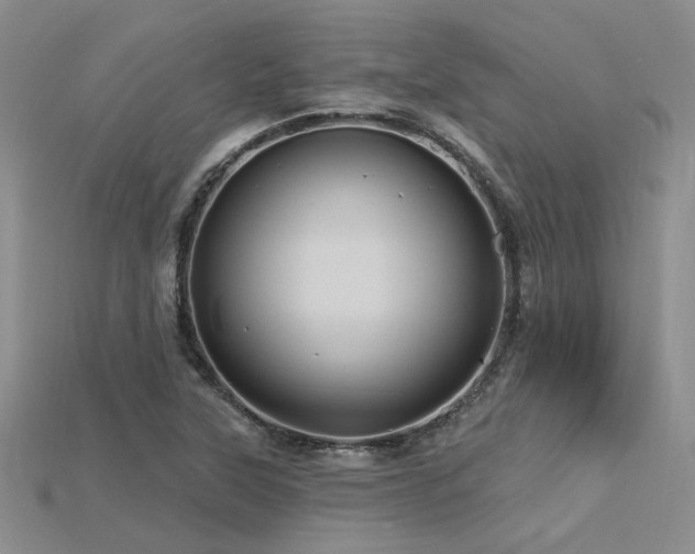X0000115791315200911131300