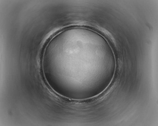 X0000115791318200911131300