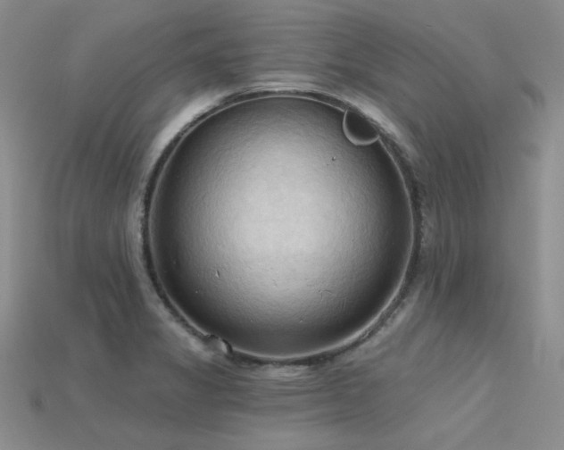 X0000115791325200911131300