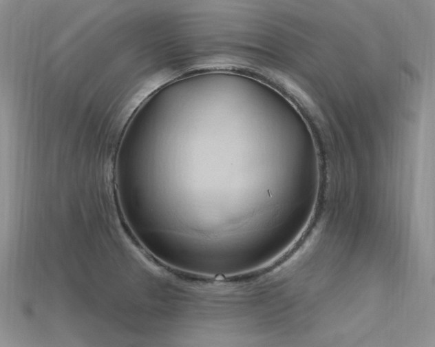 X0000115791329200911131300