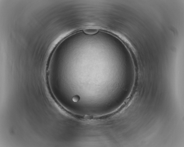 X0000115791333200911131300