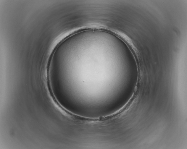 X0000115791335200911131300