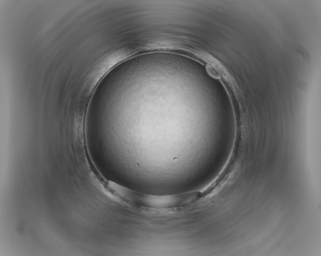 X0000115791337200911131300