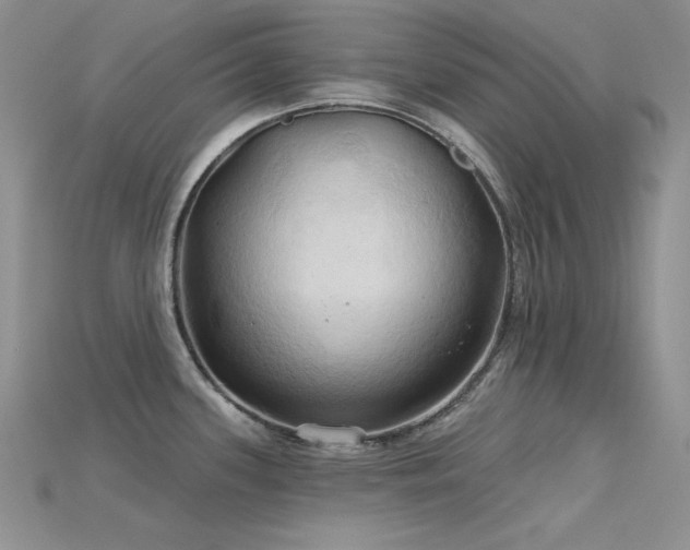 X0000115791339200911131300