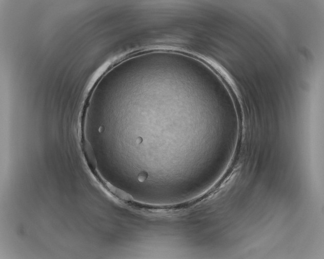 X0000115791341200911131300