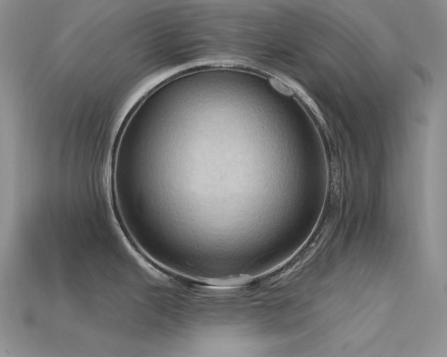 X0000115791343200911131300