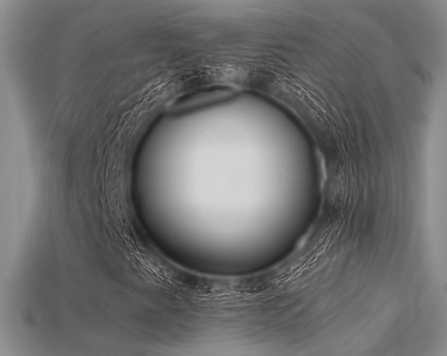 X0000115791345200911131300
