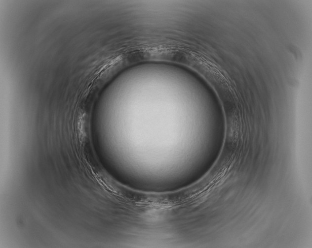 X0000115791346200911131300