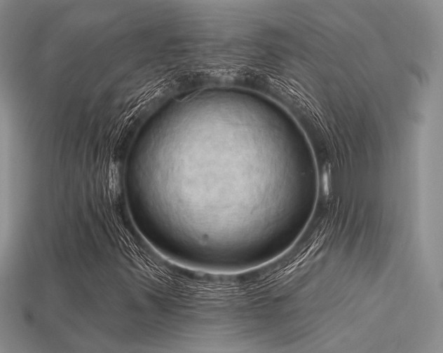 X0000115791347200911131300