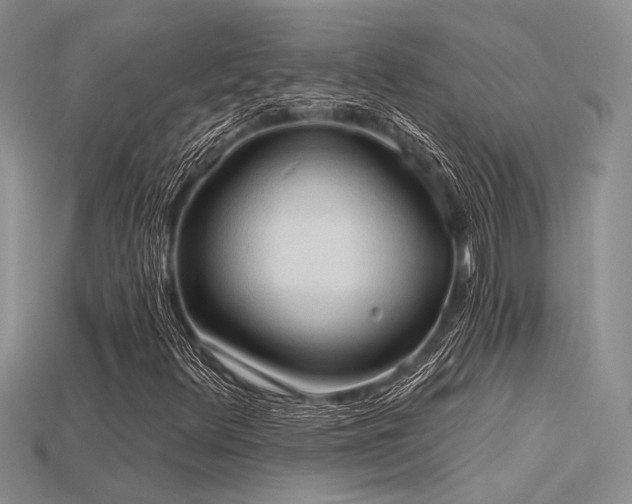 X0000115791348200911131300