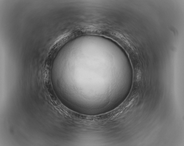 X0000115791350200911131300