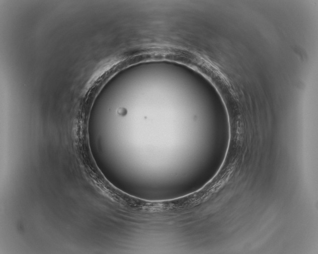 X0000115791352200911131300