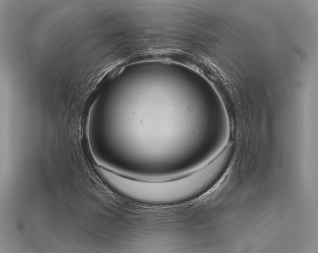X0000115791353200911131300