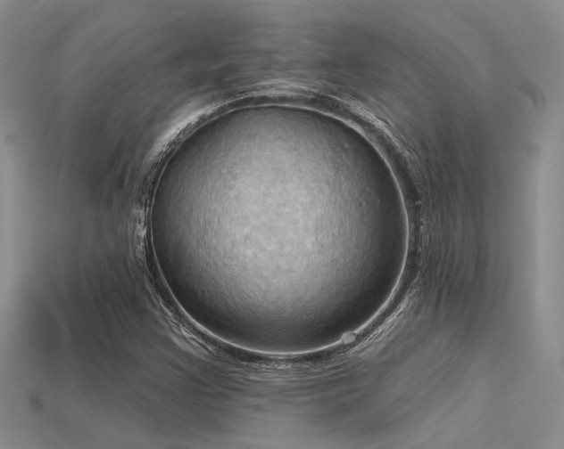 X0000115791355200911131300