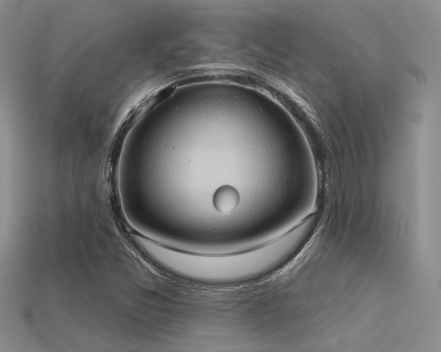 X0000115791357200911131300