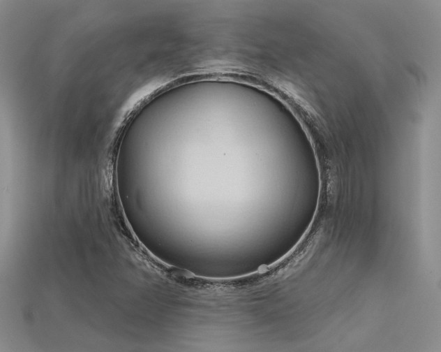 X0000115791358200911131300