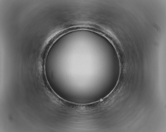 X0000115791360200911131300