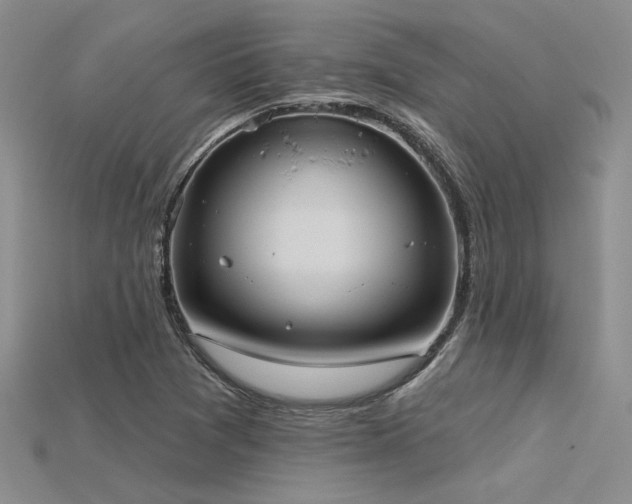 X0000115791361200911131300
