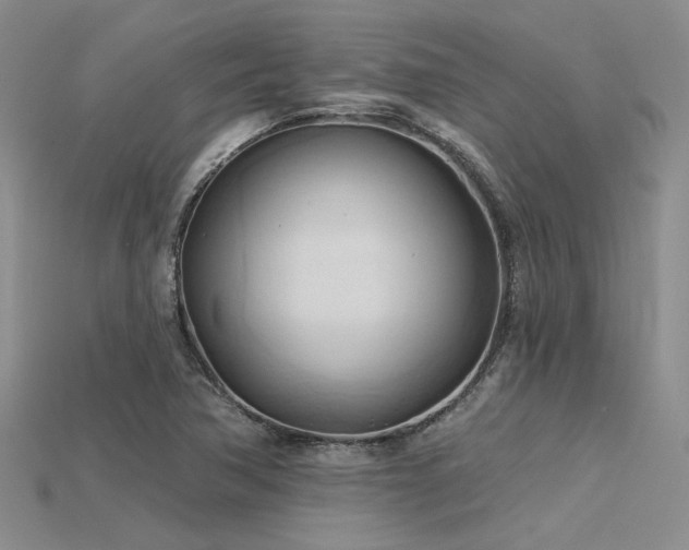 X0000115791362200911131300