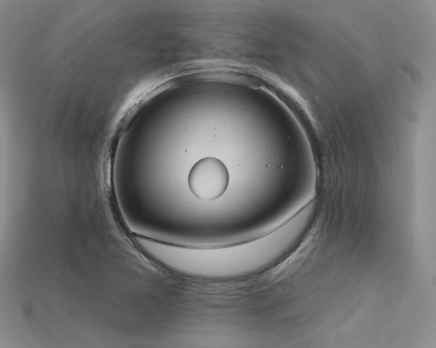 X0000115791365200911131300