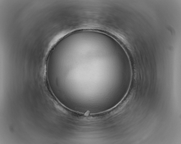 X0000115791366200911131300