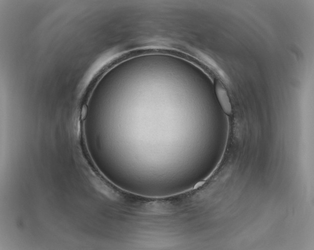 X0000115791368200911131259