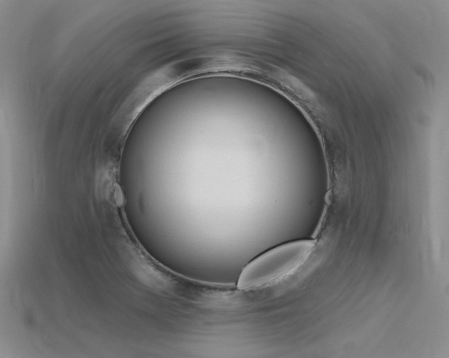 X0000115791369200911131259