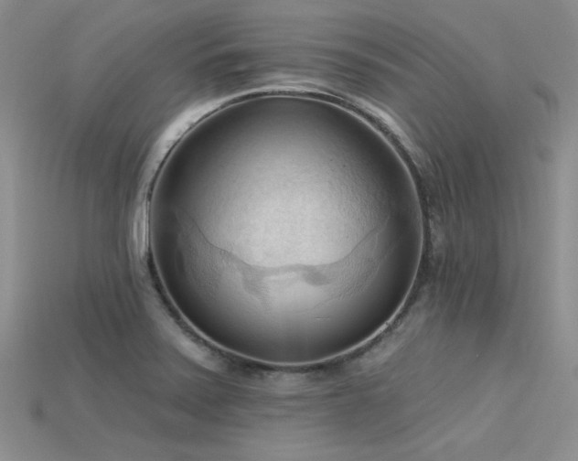 X0000115791371200911131259