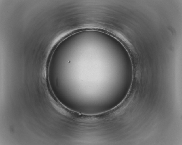 X0000115791372200911131259