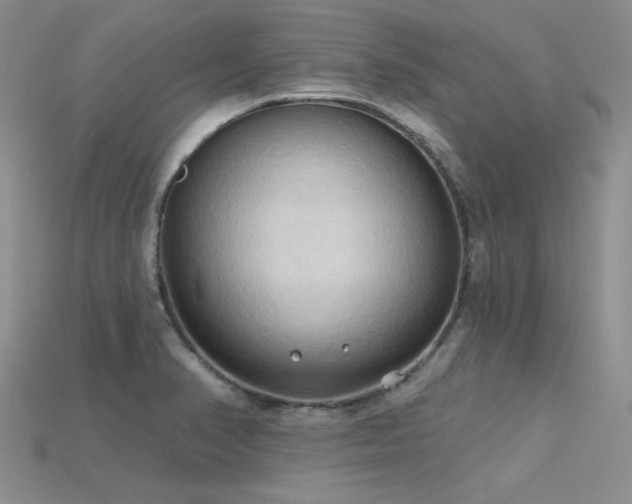 X0000115791374200911131259