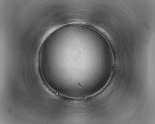 X0000115791375200911131259