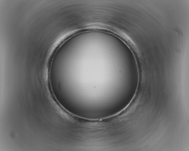 X0000115791376200911131259