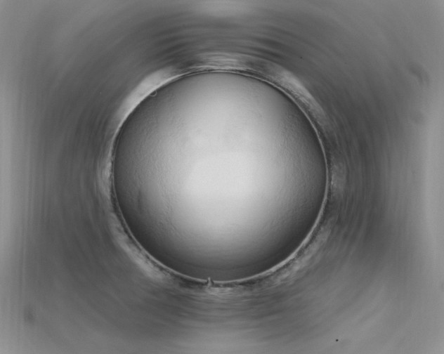 X0000115791378200911131259