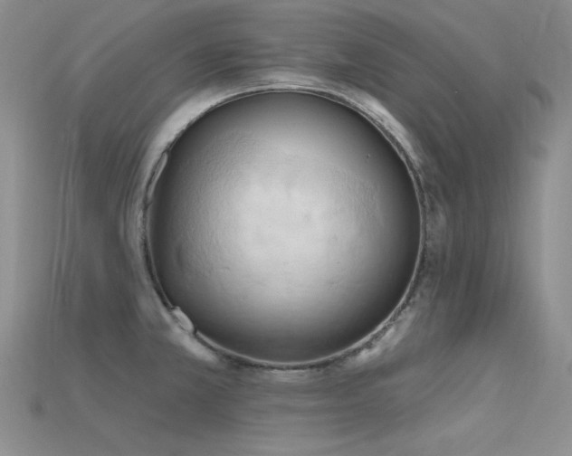 X0000115791381200911131259