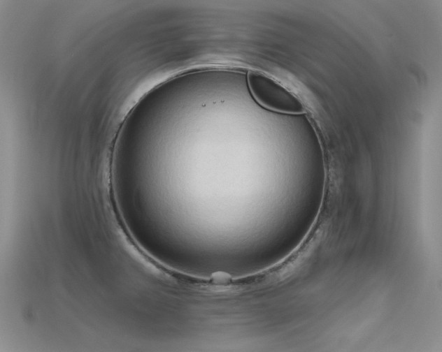 X0000115791382200911131259