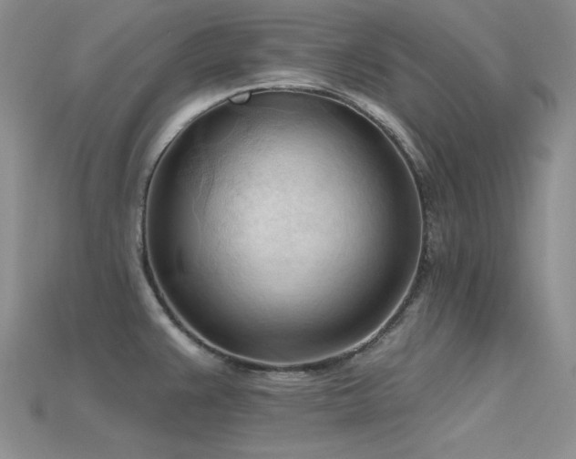 X0000115791383200911131259