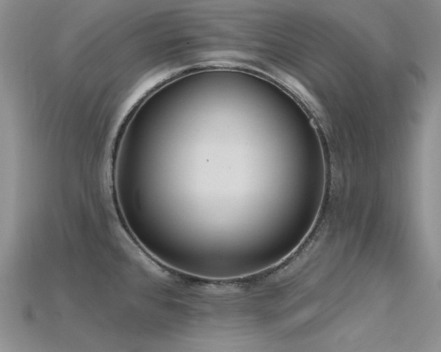 X0000115791384200911131259