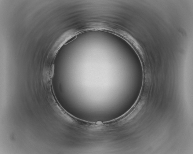 X0000115791385200911131259