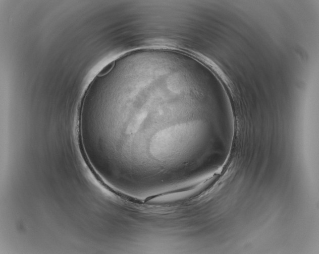 X0000115791387200911131259